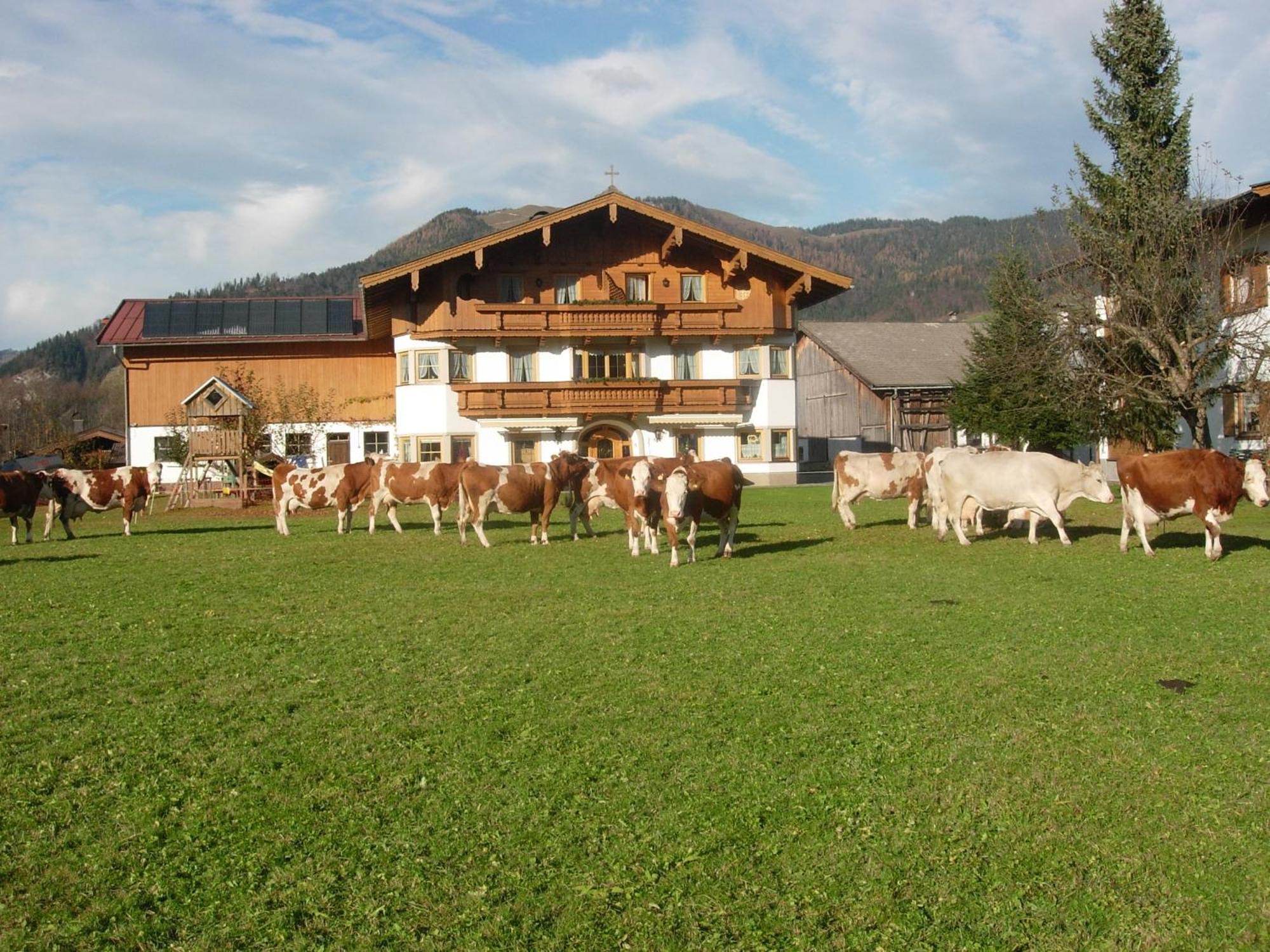 施密特小屋旅馆 Kössen 客房 照片